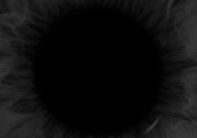 10 JUN 25