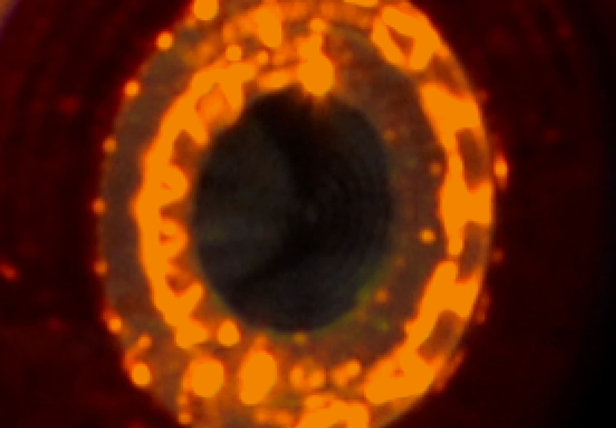 11 JUN 25