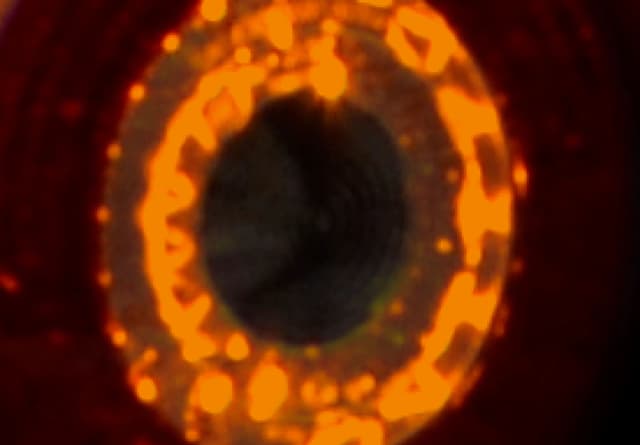 11 JUN 25